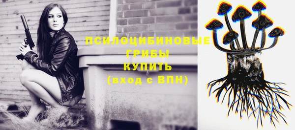 ECSTASY Краснослободск