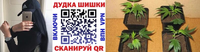 Канабис LSD WEED  Купить где  Малаховка 
